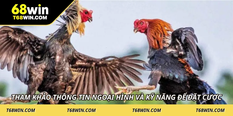 Tham khảo thông tin ngoại hình và kỹ năng để đặt cược