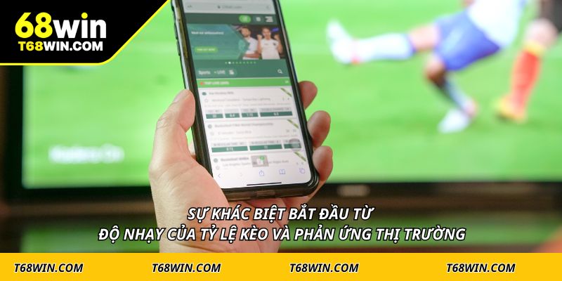 Sự khác biệt bắt đầu từ độ nhạy của tỷ lệ kèo và phản ứng thị trường