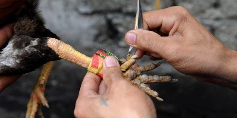 Mẹo hay để thắng lớn